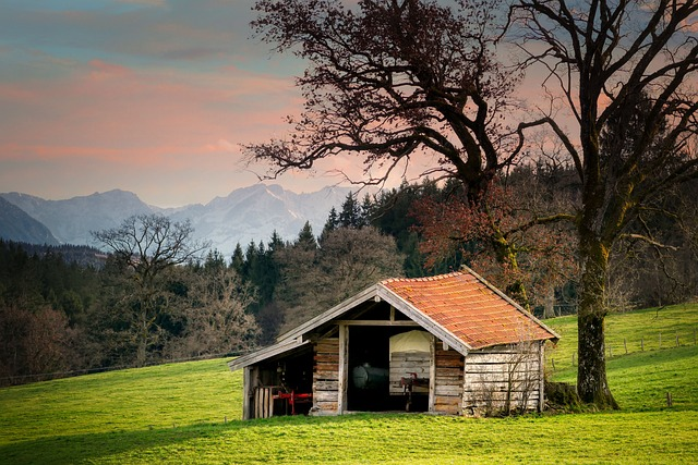 tiny house