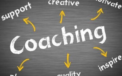 pedrovazpaulo executive coaching