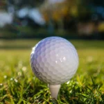 골프공 딤플